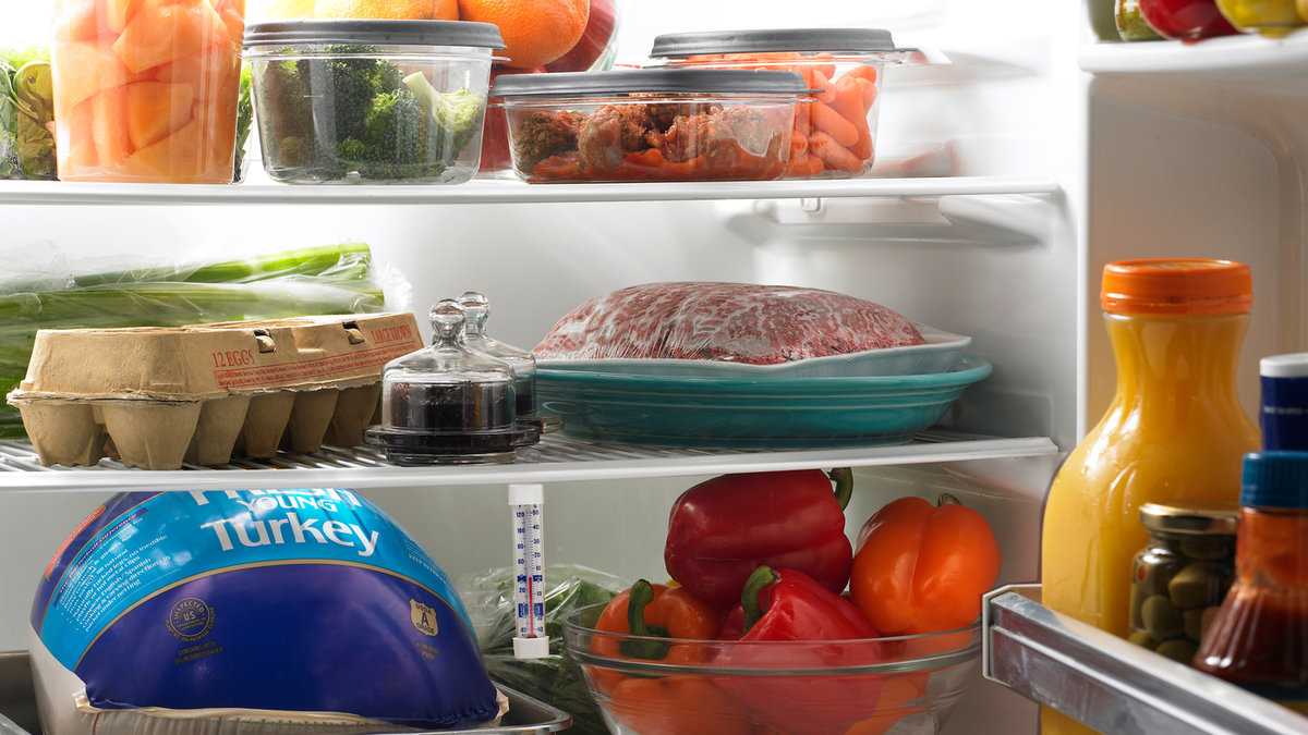 Испорченные продукты в холодильнике