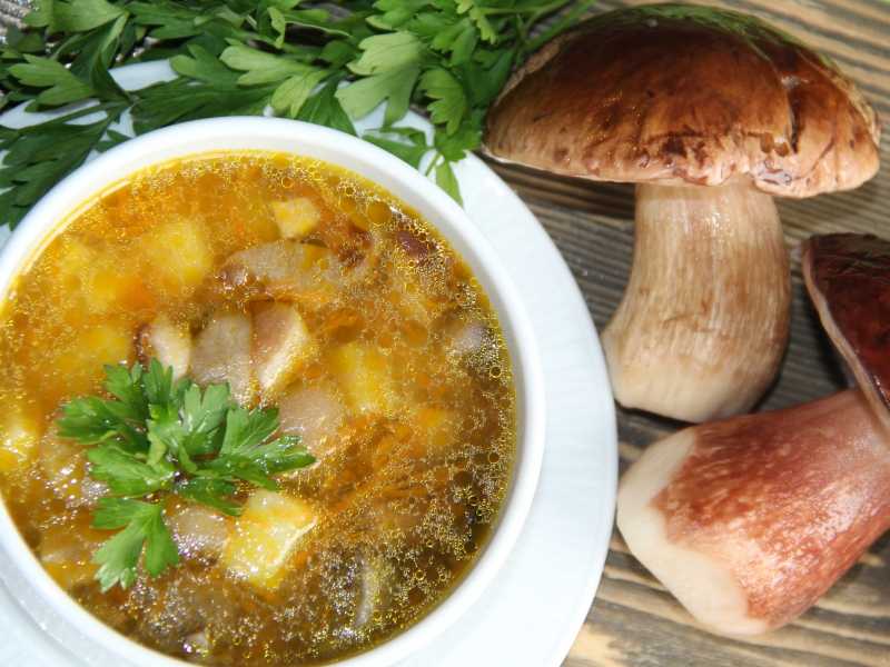 Суп из свежих белых грибов - как сварить по вкусным пошаговым рецептам с фото