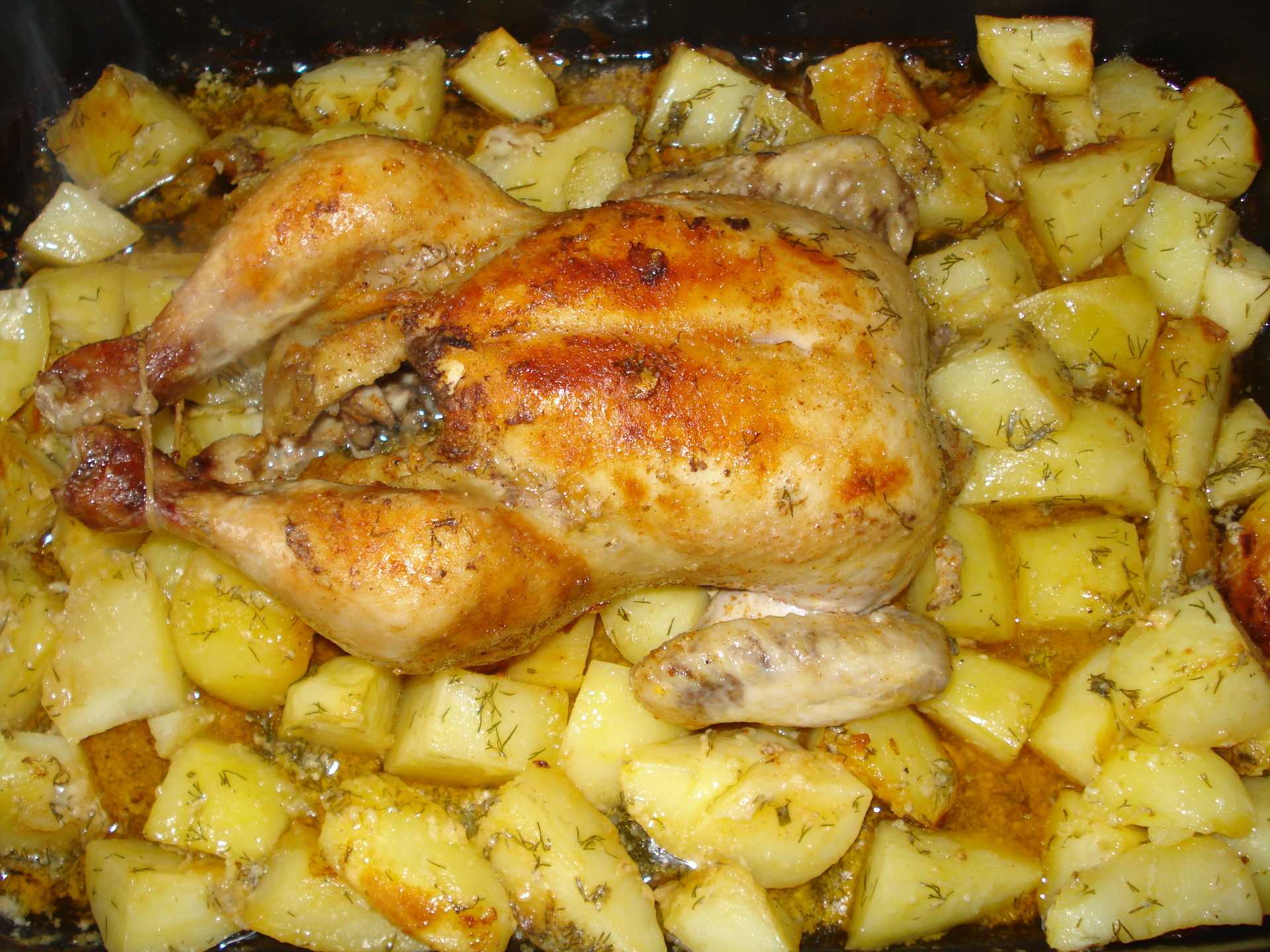 Блюда из курицы рецепты с фото простые и вкусные в духовке с картошкой рецепты