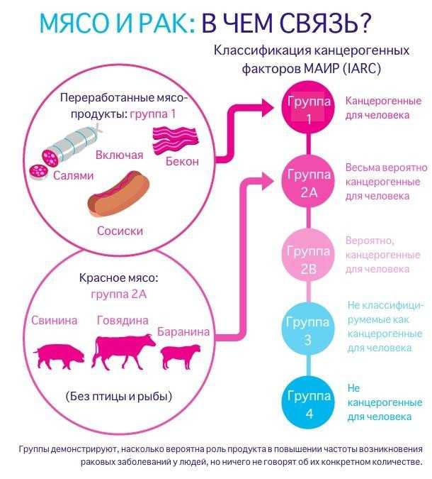 Красное мясо животные. Что относится к красному мясу список. Красное мясо это какое. Красное мясо это какое мясо список. Какое мясо относится к красному мясу.