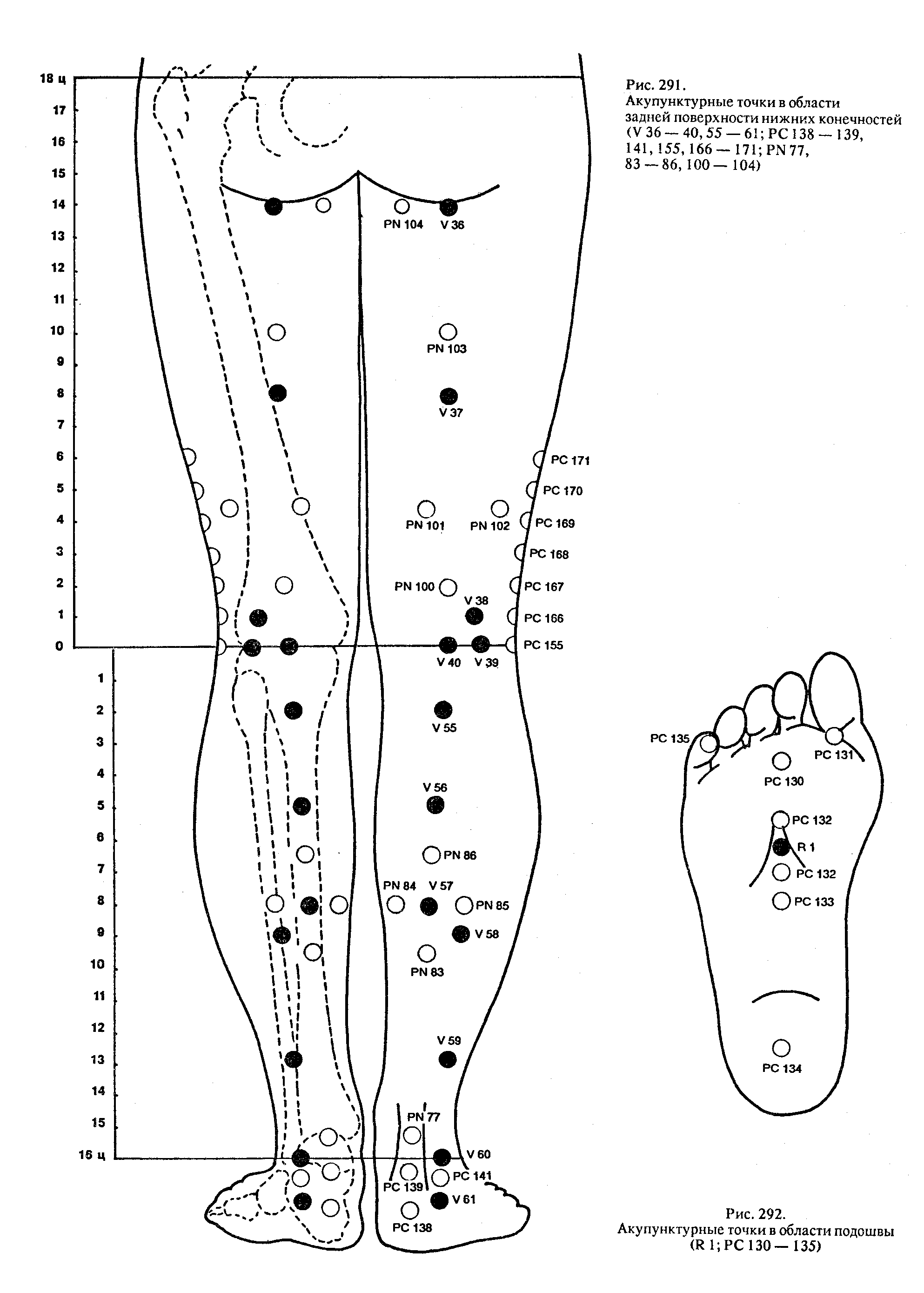 Акупунктура тела человека схема