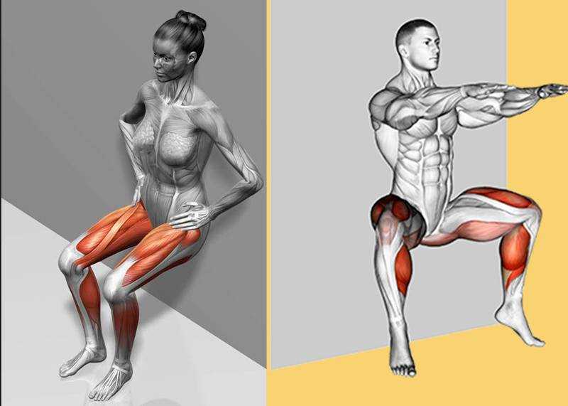 Упражнение «стульчик» у стены: как правильно делать и какие мышцы работают в момент выполнения