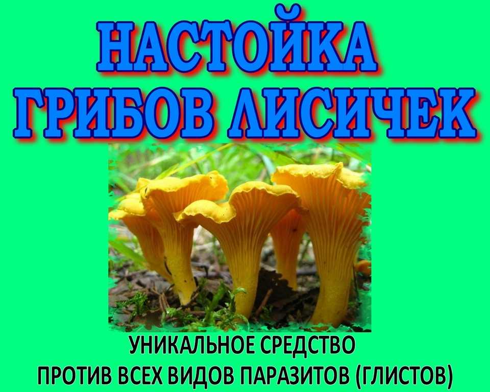 Чем опасны грибковые заболевания и как от них уберечься? - медцентр "диагност"