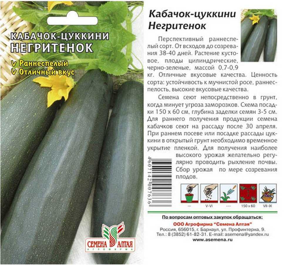 Многие хозяйки при виде зеленого овоща, интересуются: цукини - что это Узнайте, какими полезными свойствами он обладает, как его правильно готовить и чем он отличается от кабачка