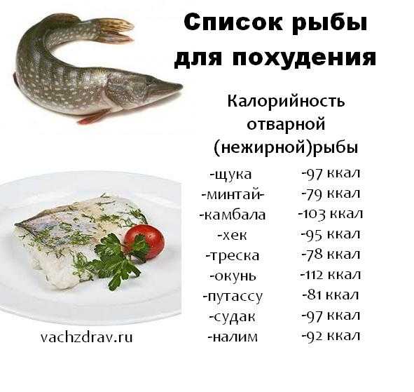 Какую рыбу можно есть на диете, если вы решили худеть на основе этого продукта Узнайте, как выбирать сорт, опираясь на жирность, калорийность морепродукта, правильно приготовить