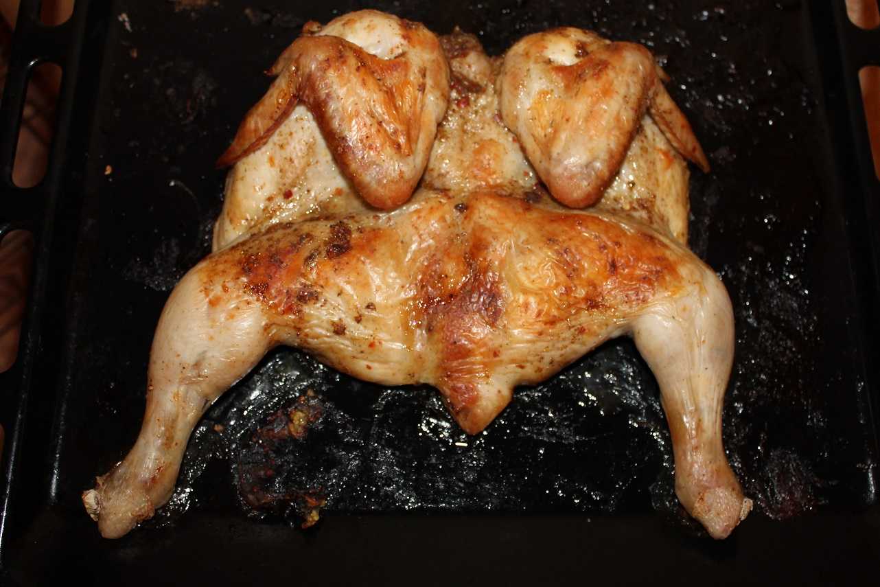 Цыпленок табака рецепт в духовке с корочкой рецепт с фото пошагово с картошкой