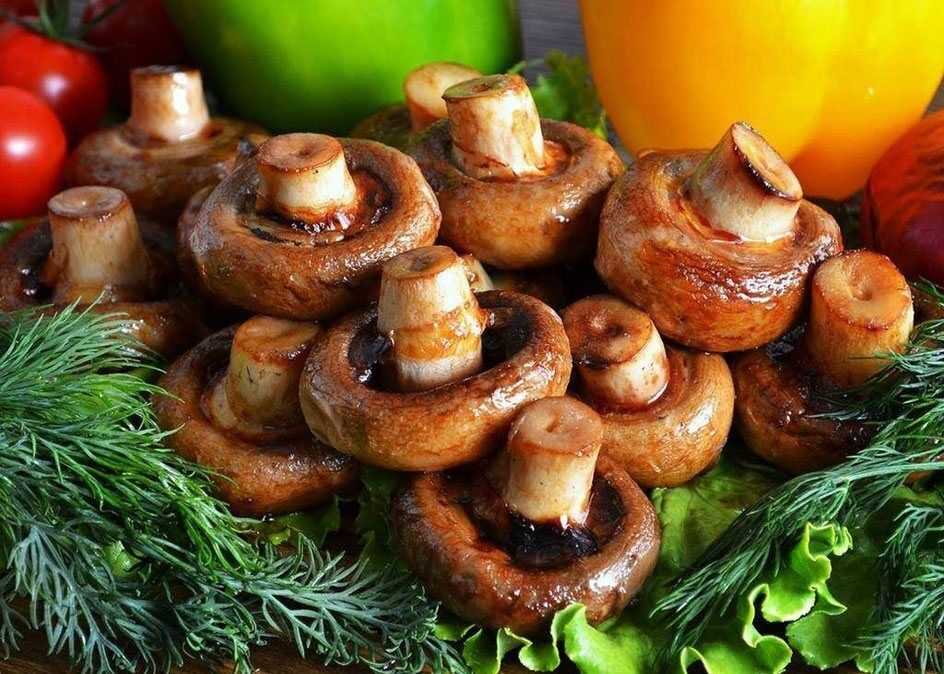 Шашлык из грибов шампиньонов: 8 лучших рецептов