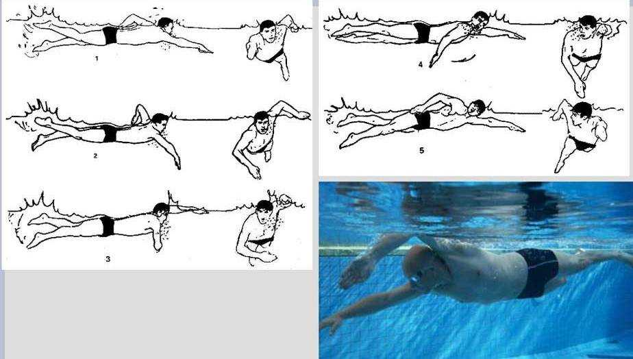 Как научиться плавать самостоятельно: упражнения для постановки дыхания, отработки движений без тренера Узнайте секреты, повышающие эффективность тренировок начинающих