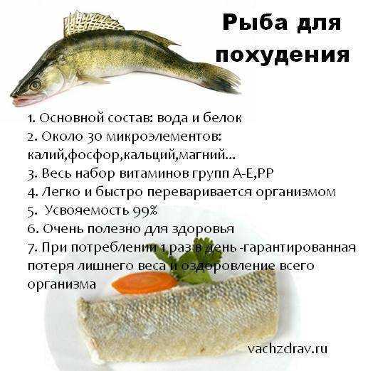 Низкокалорийная рыба и морепродукты: список, таблицы, рекомендации