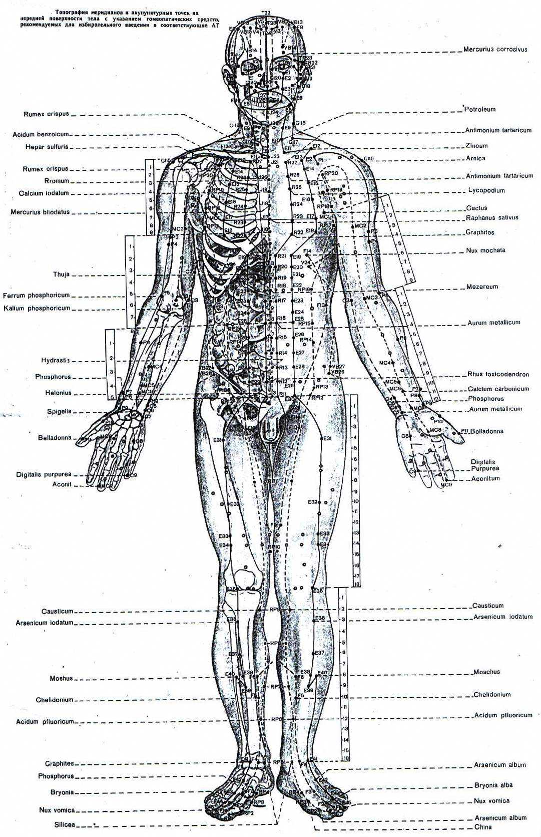 Названия точек человека. Акупунктурные точки на теле человека схема. Атлас акупунктурных точек на теле человека. Акупунктура тела человека схема болевые точки. Акупунктура меридианы тела человека схема.