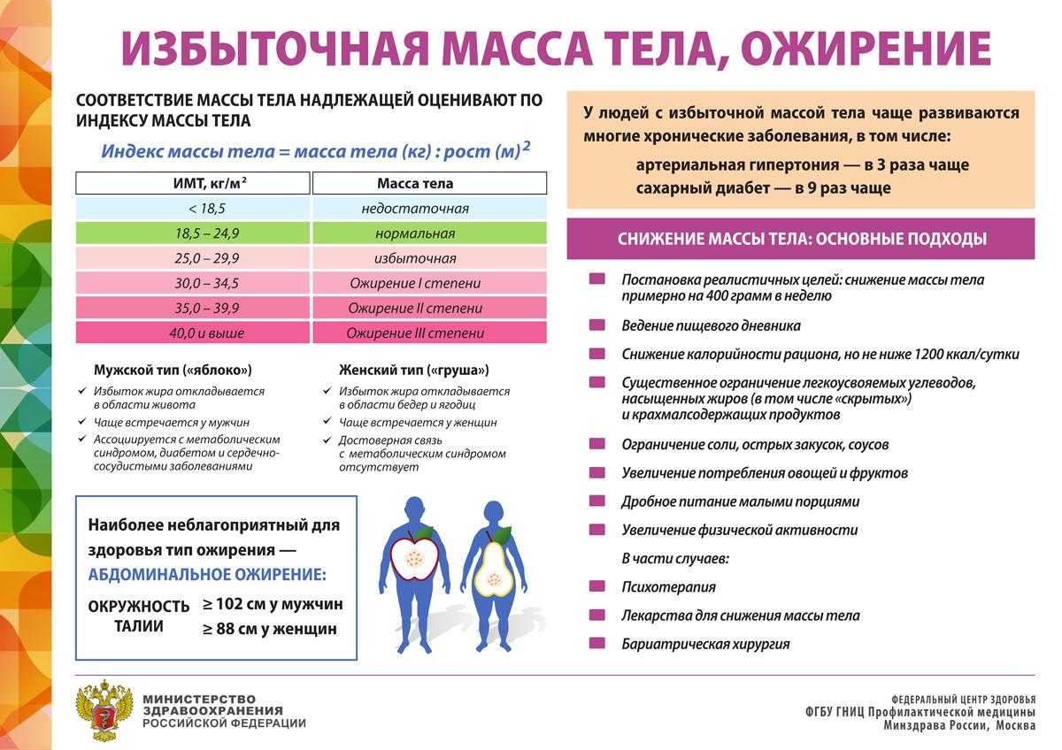 Как соблюдать режим правильного питания / здоровое питание по часам – статья из рубрики "здоровая еда" на food.ru