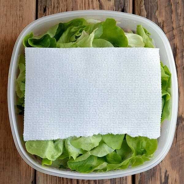 Как заготовить и сохранить на зиму салат листовой: заморозка, маринование, сушка и консервирование полезной зелени