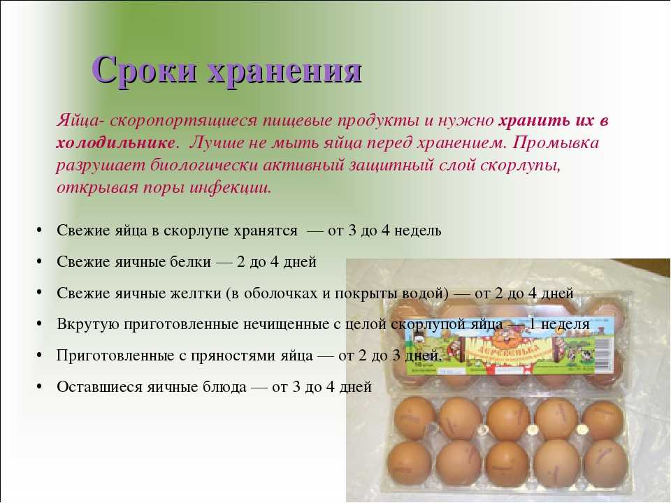 Сколько можно хранить вареные яйца вкрутую и всмятку в холодильнике в скорлупе: какой у них срок хранения без скорлупы Какая самая оптимальная температура для хранения продукта