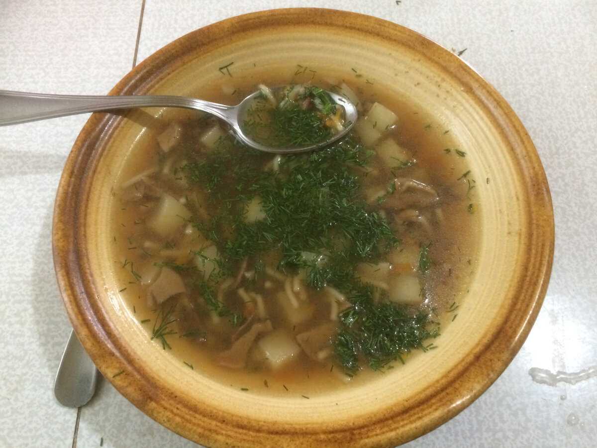 Грибной суп из свежих грибов, самые вкусные рецепты приготовления