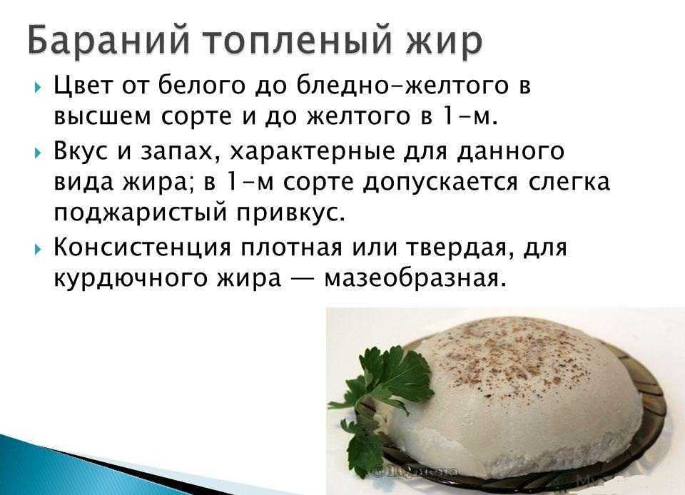Как использовать курдючный жир? полезные свойства и рецепты азиатской кухни :: syl.ru