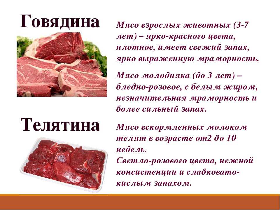 Какой вкус у мяса. Виды мяса говядины. Мясо красный цвет. Говядина красное мясо. Сообщение о мясе говядина.