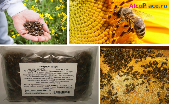 Как приготовить и правильно применять спиртовую настойку на мертвых пчелах?