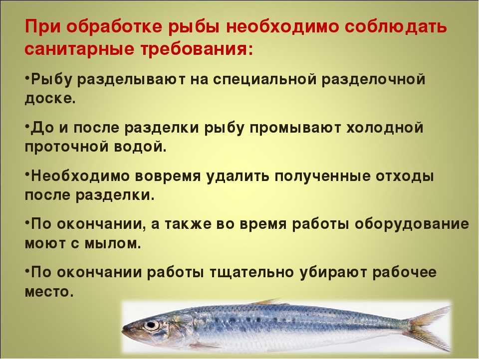 Какая должна быть рыба. При обработке рыбы необходимо соблюдать санитарные требования. Санитарные требования к рыбе. Обработка рыбы презентация. Приготовление обработки рыбы.