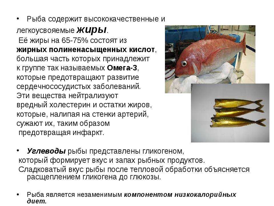 Самая диетическая рыба: 18 сортов, чтобы есть и худеть