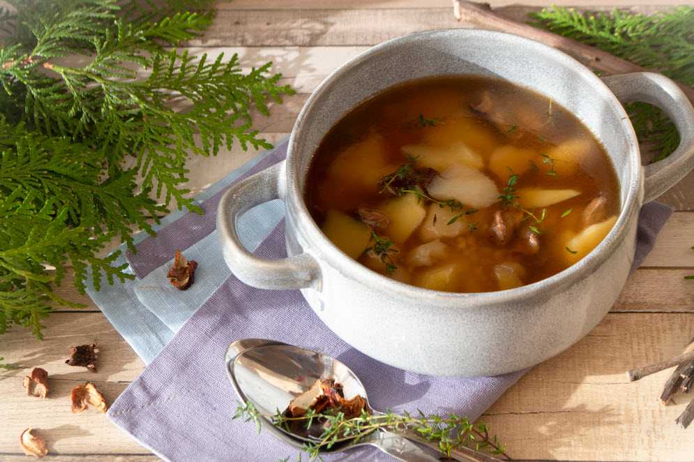 Суп из свежих белых грибов с картофелем - просто и вкусно: рецепт с фото и видео