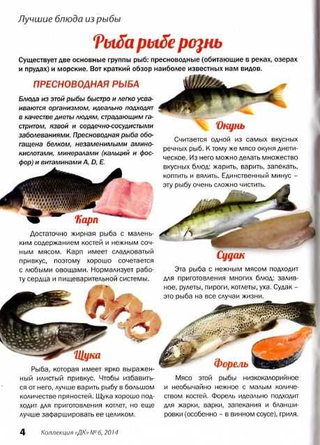 Рыбная диета: для похудения на 10 кг меню по дням, отзывы и результаты, противопоказания, меню на 3, 7 и 14 дней, разновидности