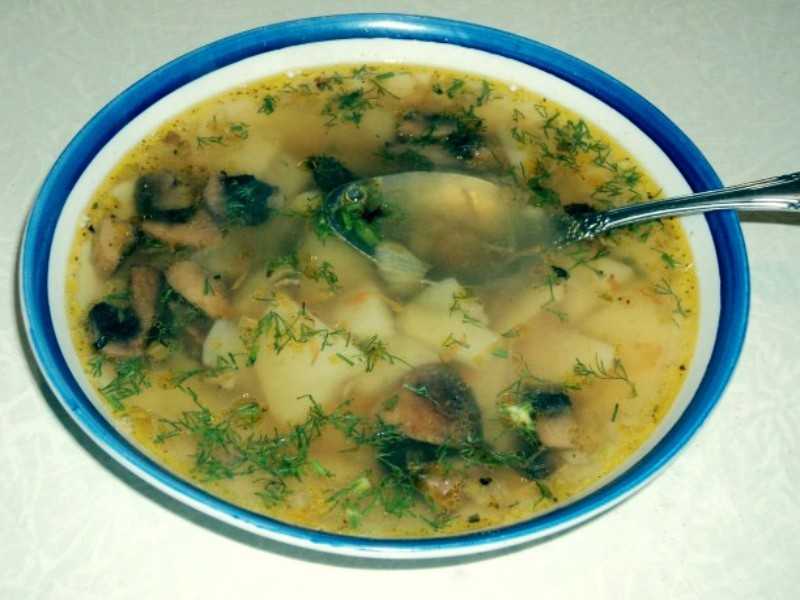 Грибной суп — самые вкусные рецепты с мясом