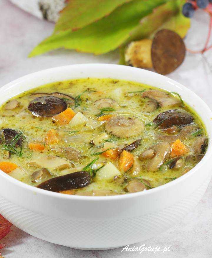 Суп из замороженных грибов — 6 домашних вкусных рецептов приготовления