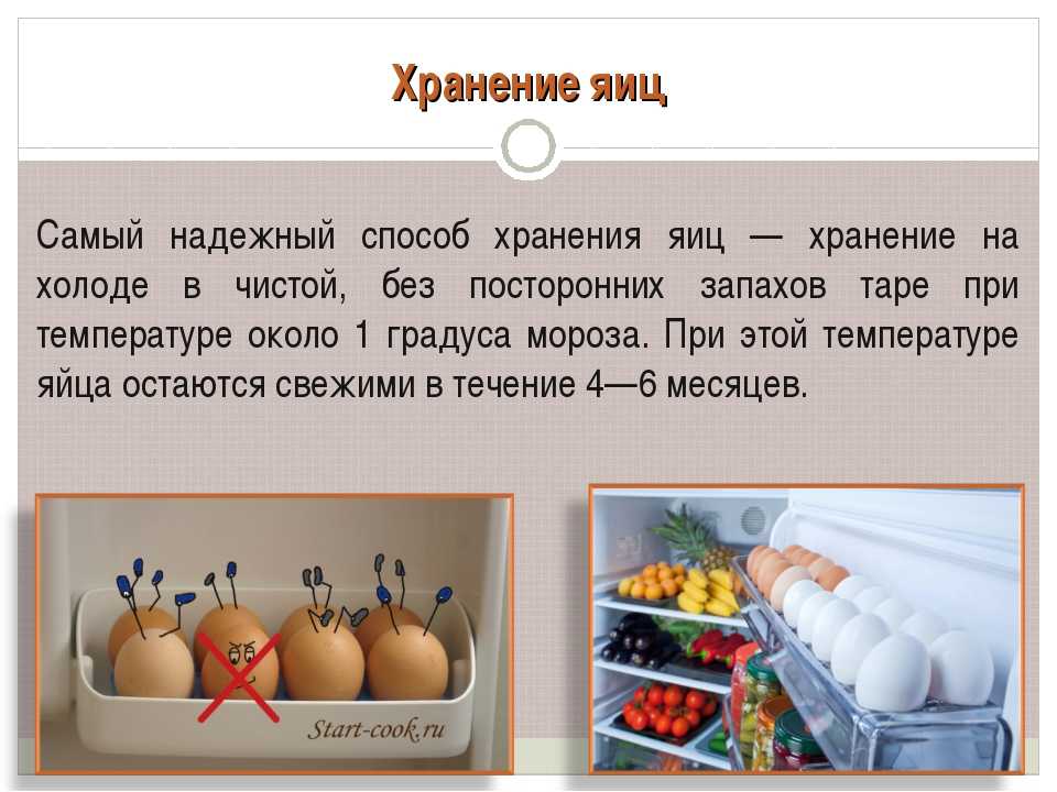 Срок хранения яиц в холодильнике и при комнатной температуре