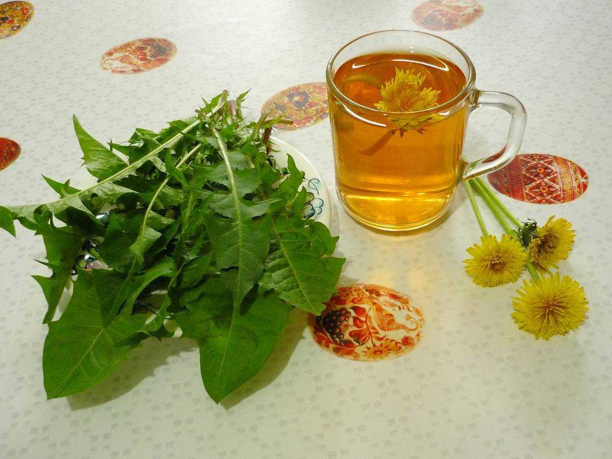 Восстановить печень народными. Чай из одуванчиков. Настой одуванчика. Чай из листьев одуванчика. Одуванчик лекарственный отвар.