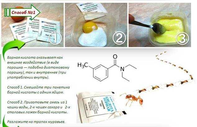Лимонная кислота от муравьев в огороде рецепт с фото пошагово