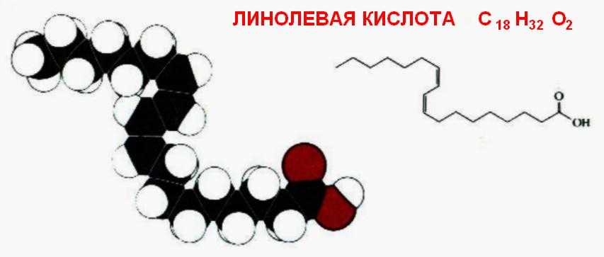 Альфа линолевая кислота. Линолевая и линоленовая кислоты. Линолевая и Альфа-линоленовая кислота. Линоленовая кислота структурная формула.